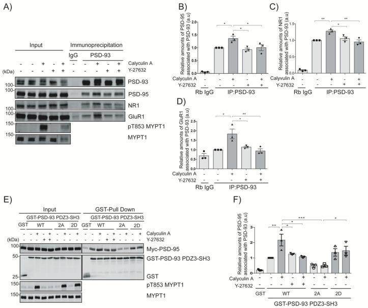 https://cdn.ncbi.nlm.nih.gov/pmc/blobs/e64b/9820267/51167841a948/ijms-24-00404-g005.jpg
