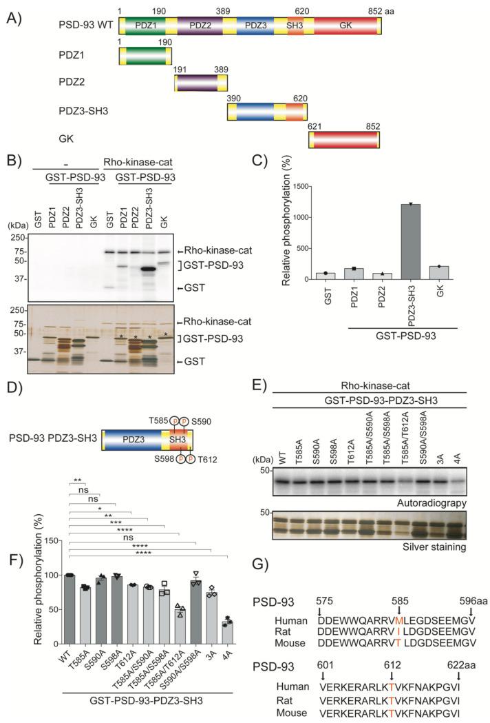 https://cdn.ncbi.nlm.nih.gov/pmc/blobs/e64b/9820267/c03de11c25b8/ijms-24-00404-g001.jpg
