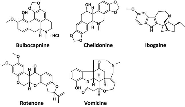 https://cdn.ncbi.nlm.nih.gov/pmc/blobs/e64d/9127747/12419b4e897e/OPEN-11-e202200090-g008.jpg