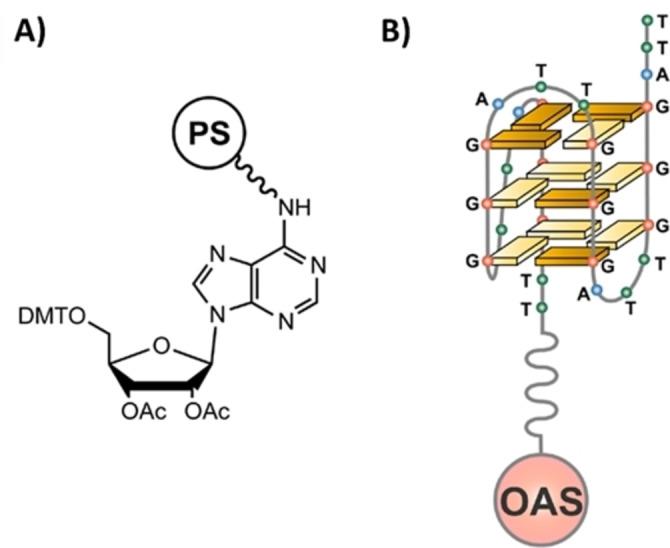 https://cdn.ncbi.nlm.nih.gov/pmc/blobs/e64d/9127747/2cb5e6991800/OPEN-11-e202200090-g011.jpg