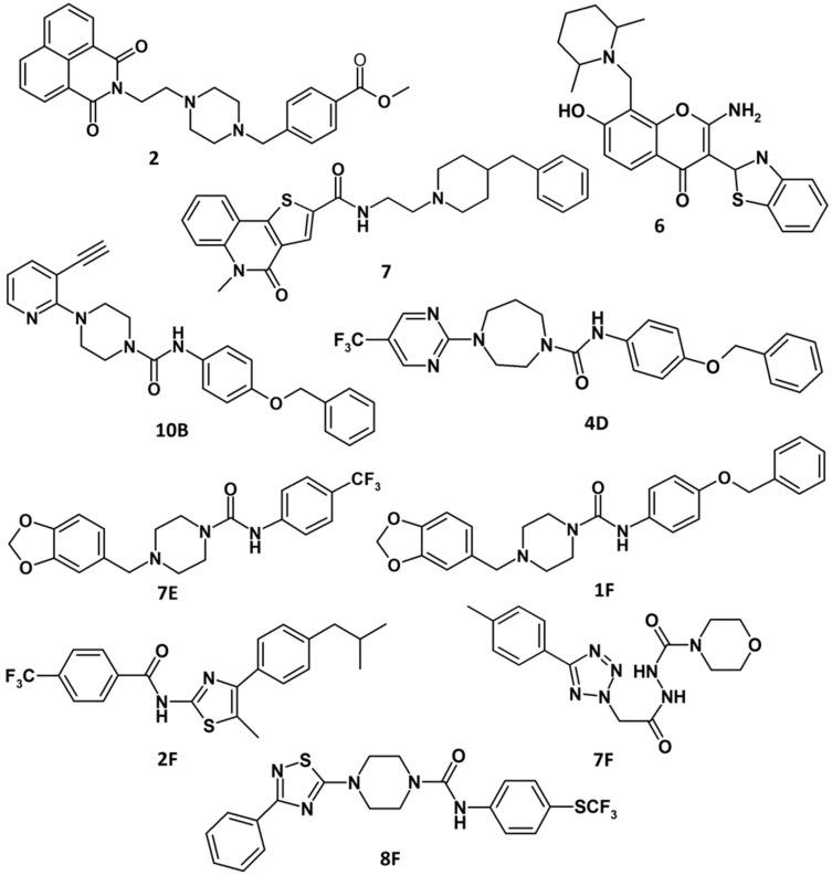 https://cdn.ncbi.nlm.nih.gov/pmc/blobs/e64d/9127747/ae5b90985241/OPEN-11-e202200090-g009.jpg