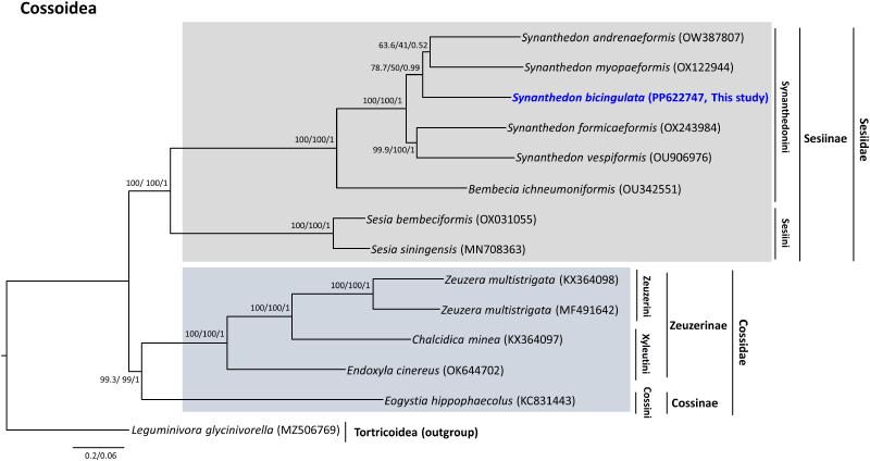 https://cdn.ncbi.nlm.nih.gov/pmc/blobs/e650/11562021/6bfa481f81aa/TMDN_A_2427095_F0003_C.jpg