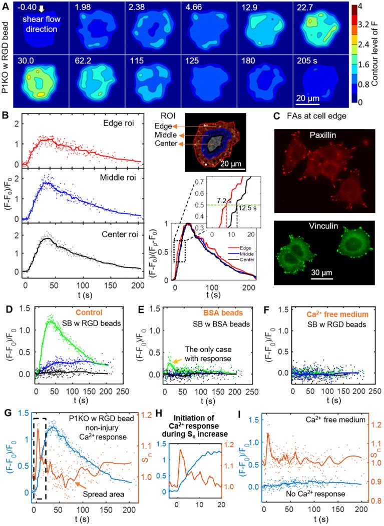 https://cdn.ncbi.nlm.nih.gov/pmc/blobs/e650/8058710/ef765eef88b2/thnov11p6090g004.jpg