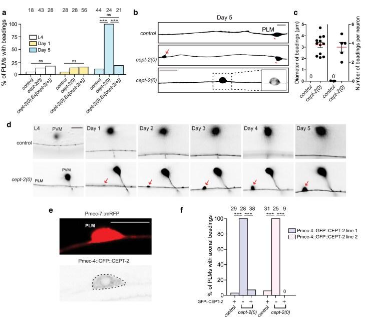 https://cdn.ncbi.nlm.nih.gov/pmc/blobs/e653/12406002/acbb2811e678/iyaf122f2.jpg