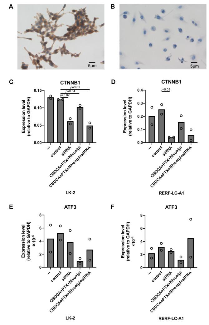 https://cdn.ncbi.nlm.nih.gov/pmc/blobs/e654/11696345/dac5a9b56e45/cdp-5-37-g0001.jpg