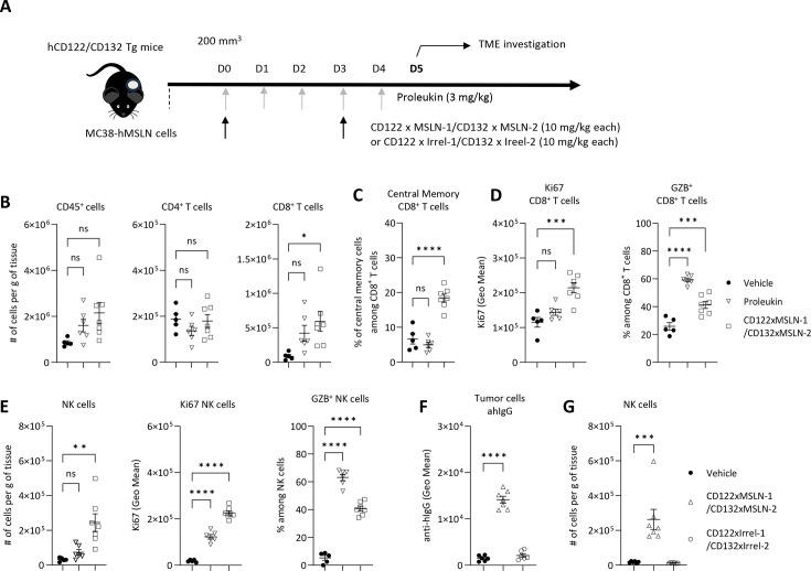 https://cdn.ncbi.nlm.nih.gov/pmc/blobs/e654/11938229/a3408ae43d5e/jitc-13-3-g003.jpg