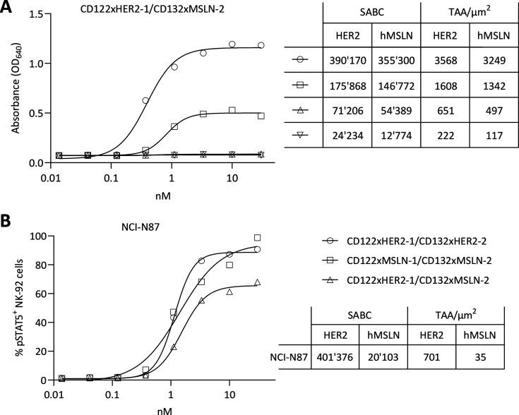 https://cdn.ncbi.nlm.nih.gov/pmc/blobs/e654/11938229/deeeaea76259/jitc-13-3-g006.jpg