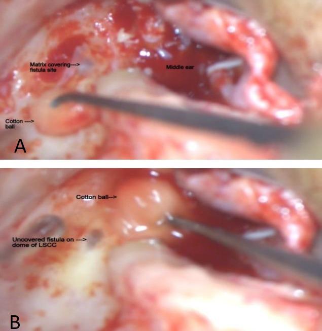 https://cdn.ncbi.nlm.nih.gov/pmc/blobs/e655/6556750/f277d7624b33/ijo-31-167-g001.jpg