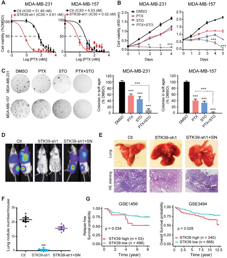 https://cdn.ncbi.nlm.nih.gov/pmc/blobs/e656/8315073/4ce4f2bb2b27/thnov11p7658g007.jpg