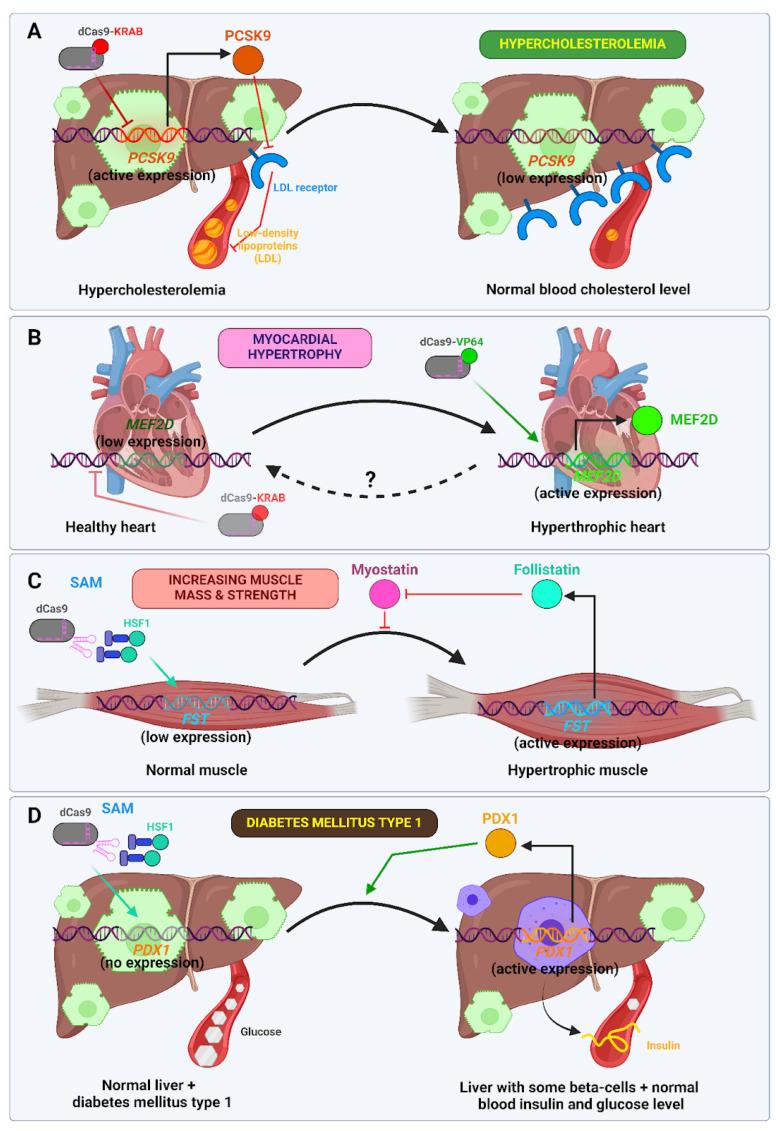 https://cdn.ncbi.nlm.nih.gov/pmc/blobs/e658/12250444/08c0efb8a6ba/ijms-26-06371-g008.jpg