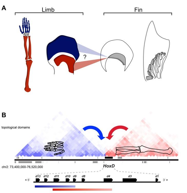 https://cdn.ncbi.nlm.nih.gov/pmc/blobs/e658/3897358/d4f9c992edb8/pbio.1001773.g001.jpg