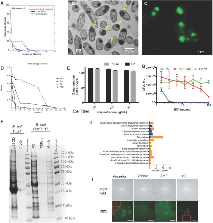 https://cdn.ncbi.nlm.nih.gov/pmc/blobs/e658/8206779/d2d25c302077/fmolb-08-681855-g003.jpg