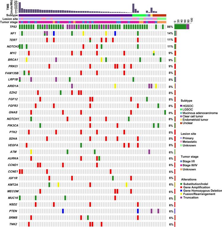 https://cdn.ncbi.nlm.nih.gov/pmc/blobs/e65a/7801677/34c78e535a83/41598_2020_79694_Fig1_HTML.jpg