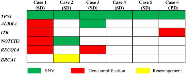 https://cdn.ncbi.nlm.nih.gov/pmc/blobs/e65a/7801677/4b0f59aca7f5/41598_2020_79694_Fig4_HTML.jpg