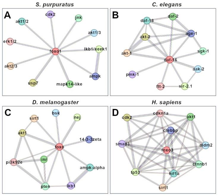 https://cdn.ncbi.nlm.nih.gov/pmc/blobs/e65c/11353378/1e27780d3e4c/genes-15-01078-g007.jpg