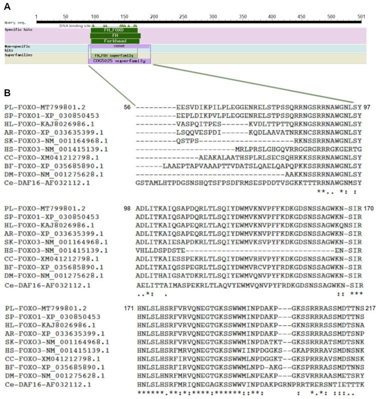 https://cdn.ncbi.nlm.nih.gov/pmc/blobs/e65c/11353378/4457681faf0d/genes-15-01078-g002.jpg
