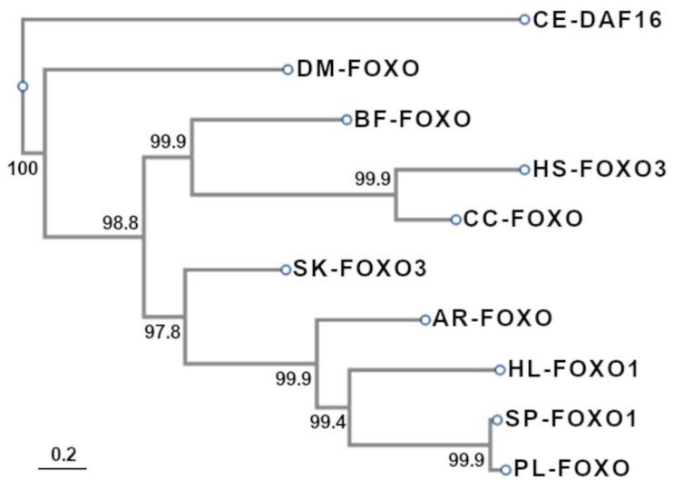 https://cdn.ncbi.nlm.nih.gov/pmc/blobs/e65c/11353378/a135d6ada18c/genes-15-01078-g004.jpg