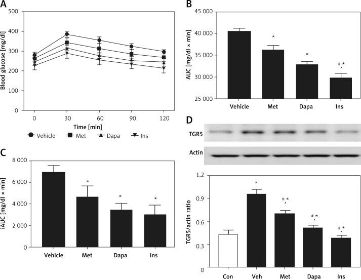 https://cdn.ncbi.nlm.nih.gov/pmc/blobs/e65d/9266878/50cfee630e8d/AMS-18-4-113624-g003.jpg