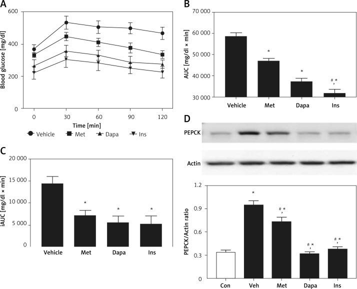 https://cdn.ncbi.nlm.nih.gov/pmc/blobs/e65d/9266878/6e38e390ead2/AMS-18-4-113624-g001.jpg