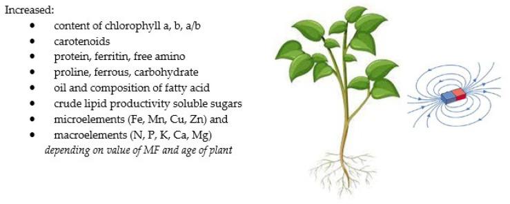https://cdn.ncbi.nlm.nih.gov/pmc/blobs/e65d/9506020/047aba816752/molecules-27-05823-g004.jpg