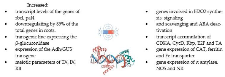 https://cdn.ncbi.nlm.nih.gov/pmc/blobs/e65d/9506020/7cdbea0ae666/molecules-27-05823-g005.jpg