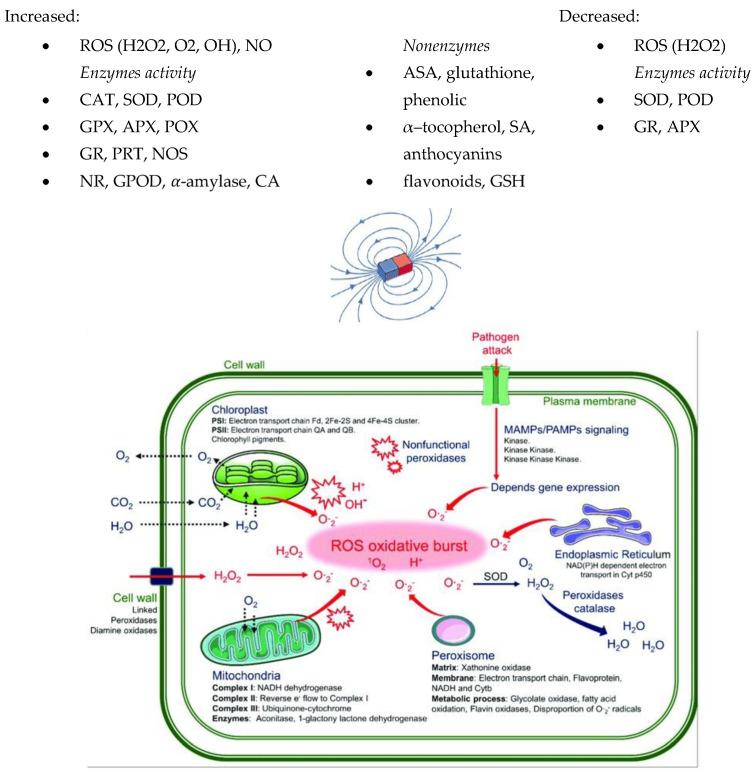 https://cdn.ncbi.nlm.nih.gov/pmc/blobs/e65d/9506020/a3e39d3e1705/molecules-27-05823-g002.jpg