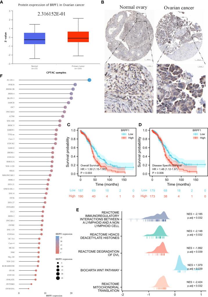 https://cdn.ncbi.nlm.nih.gov/pmc/blobs/e65d/9579433/ff22e455a4ee/fonc-12-1021558-g011.jpg