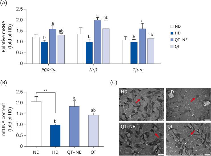 https://cdn.ncbi.nlm.nih.gov/pmc/blobs/e65e/11621433/7c0b09c290e5/nrp-18-806-g003.jpg