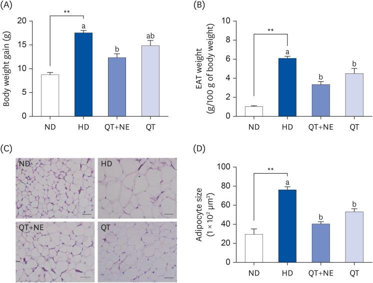 https://cdn.ncbi.nlm.nih.gov/pmc/blobs/e65e/11621433/984ed739f526/nrp-18-806-g001.jpg