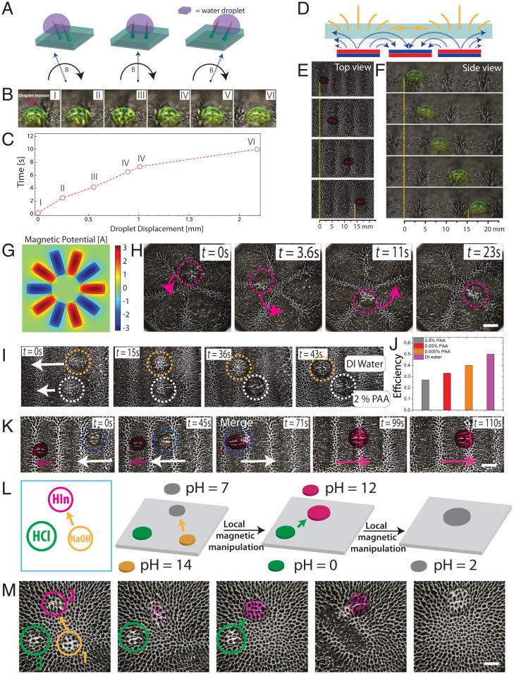 https://cdn.ncbi.nlm.nih.gov/pmc/blobs/e65e/8609634/f3975ae440bd/pnas.202111291fig03.jpg