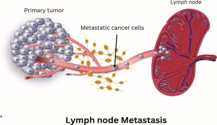 https://cdn.ncbi.nlm.nih.gov/pmc/blobs/e65f/10394815/f2d37efca753/12951_2023_1990_Fig2_HTML.jpg