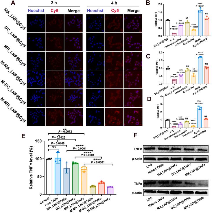 https://cdn.ncbi.nlm.nih.gov/pmc/blobs/e65f/12254858/924c078766ed/gr4.jpg