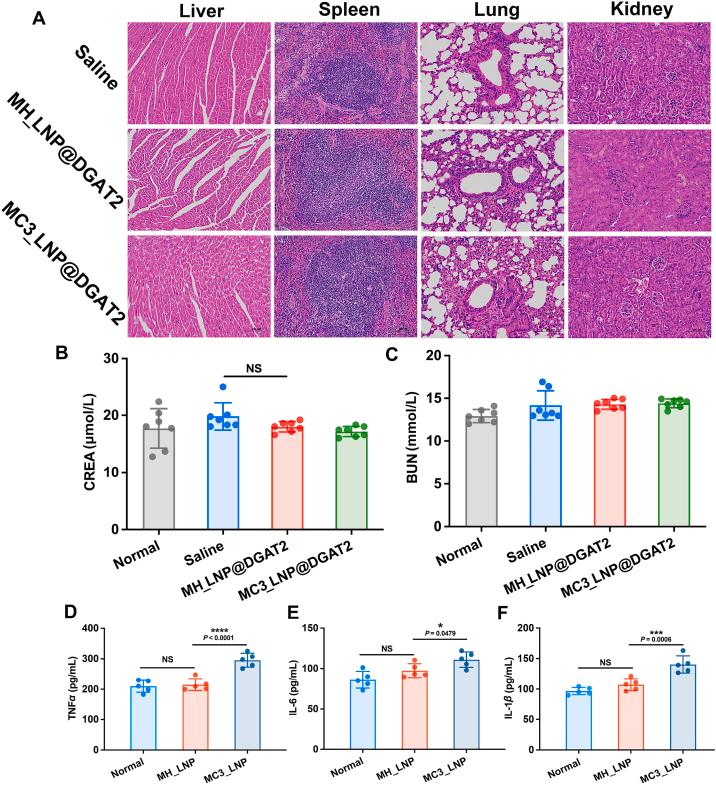 https://cdn.ncbi.nlm.nih.gov/pmc/blobs/e65f/12254858/93eb47fa5d82/gr8.jpg