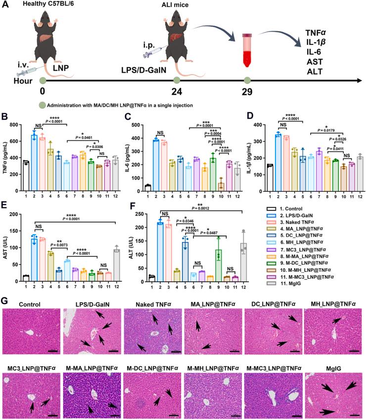 https://cdn.ncbi.nlm.nih.gov/pmc/blobs/e65f/12254858/e67a3e79505b/gr6.jpg