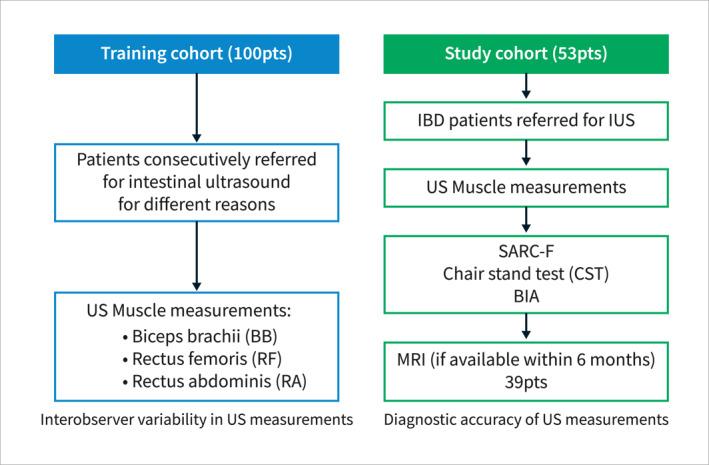 https://cdn.ncbi.nlm.nih.gov/pmc/blobs/e660/11176911/79d2b991ff84/UEG2-12-562-g001.jpg