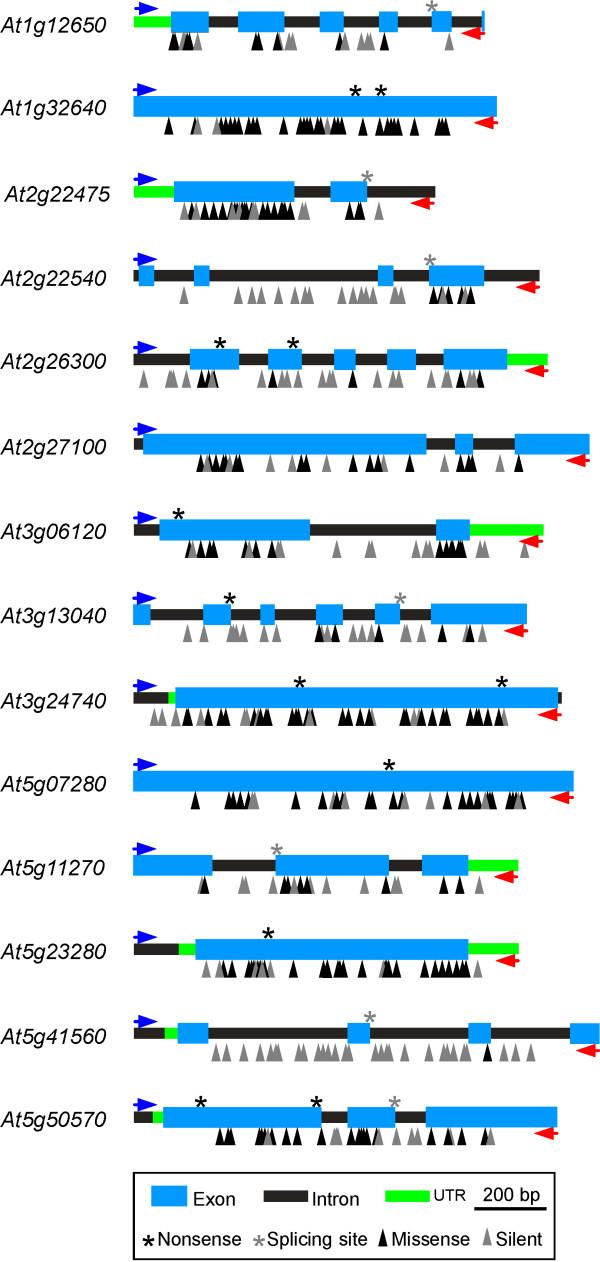 https://cdn.ncbi.nlm.nih.gov/pmc/blobs/e661/2803491/32a083209cf5/1471-2229-9-147-2.jpg