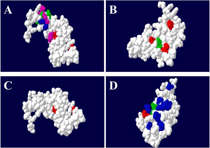 https://cdn.ncbi.nlm.nih.gov/pmc/blobs/e661/7505079/934c84bd8cdb/peerj-08-9889-g004.jpg
