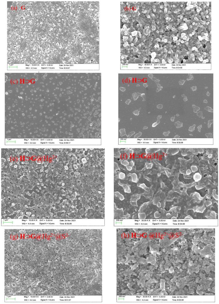 https://cdn.ncbi.nlm.nih.gov/pmc/blobs/e664/9405992/02d079c4127f/biosensors-12-00571-g002.jpg