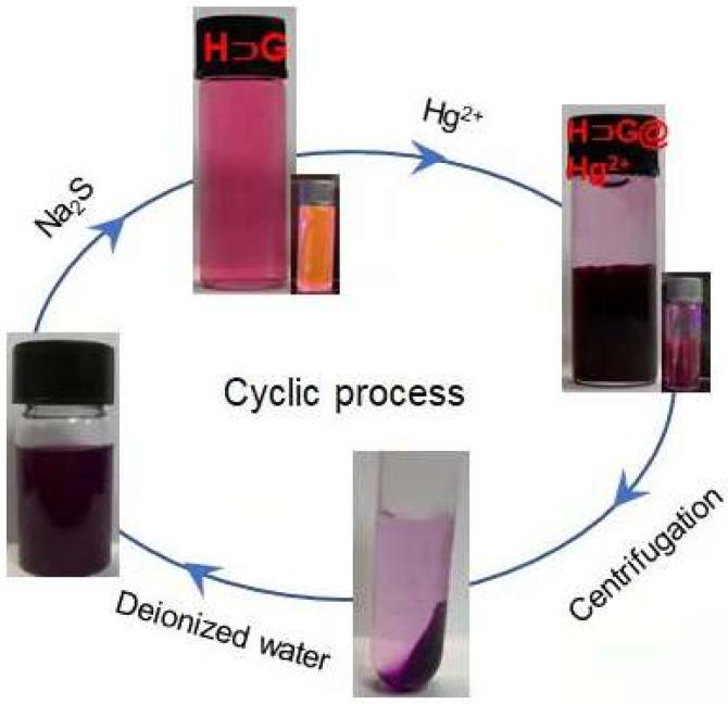 https://cdn.ncbi.nlm.nih.gov/pmc/blobs/e664/9405992/0bff3f2de026/biosensors-12-00571-g008.jpg