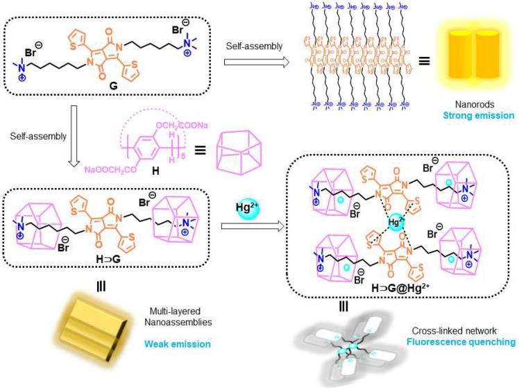 https://cdn.ncbi.nlm.nih.gov/pmc/blobs/e664/9405992/73b55fb15c94/biosensors-12-00571-sch002.jpg