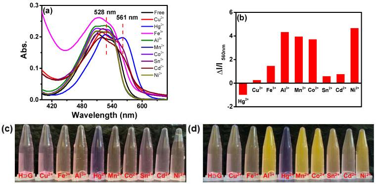 https://cdn.ncbi.nlm.nih.gov/pmc/blobs/e664/9405992/93a01274939b/biosensors-12-00571-g004.jpg