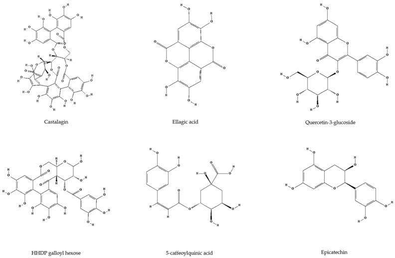 https://cdn.ncbi.nlm.nih.gov/pmc/blobs/e666/12189882/ba561706e754/antioxidants-14-00677-g004.jpg