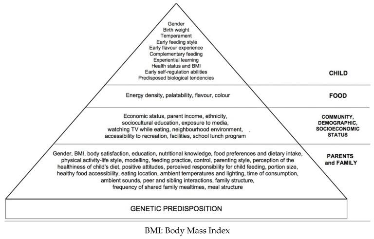 https://cdn.ncbi.nlm.nih.gov/pmc/blobs/e667/5331538/b048e85c767f/nutrients-09-00107-g001.jpg