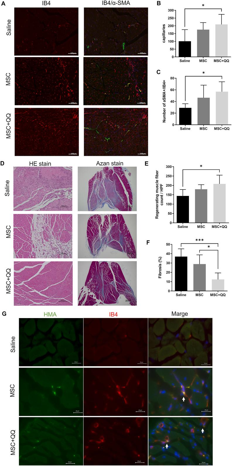 https://cdn.ncbi.nlm.nih.gov/pmc/blobs/e66e/11401098/f47107791c05/gr4.jpg