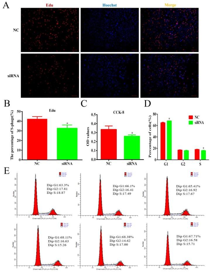 https://cdn.ncbi.nlm.nih.gov/pmc/blobs/e66e/6562744/82f6807374a7/cells-08-00477-g007.jpg