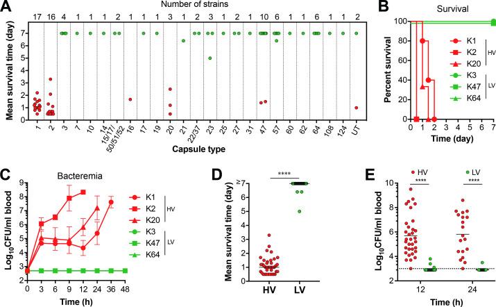 https://cdn.ncbi.nlm.nih.gov/pmc/blobs/e66f/9342791/5832f58b58be/ppat.1010693.g001.jpg