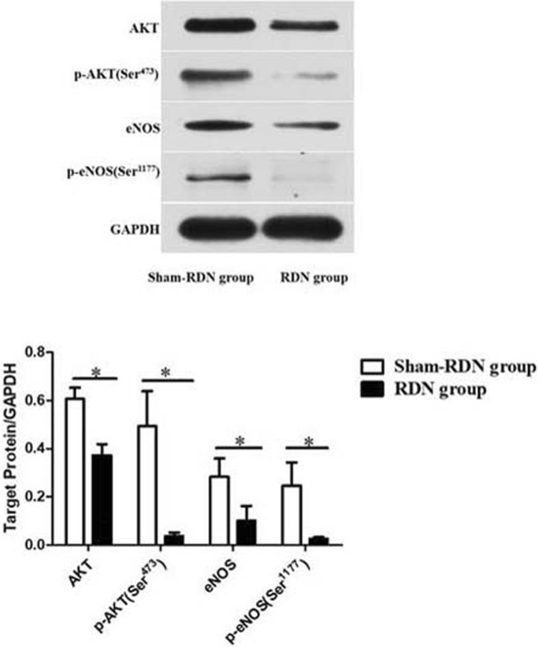 https://cdn.ncbi.nlm.nih.gov/pmc/blobs/e670/6431051/37f656b65f59/12872_2019_1053_Fig8_HTML.jpg