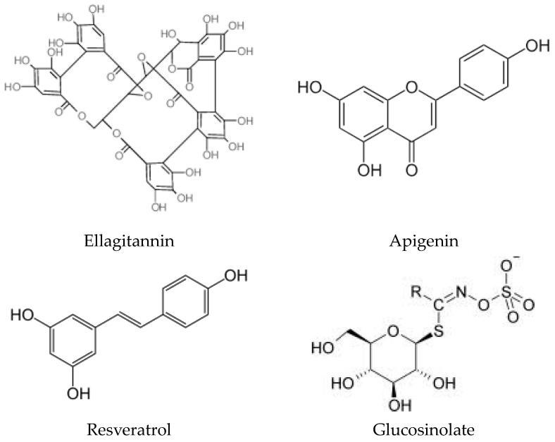 https://cdn.ncbi.nlm.nih.gov/pmc/blobs/e671/10970659/bcc8af0d72bd/ijms-25-03264-g004.jpg
