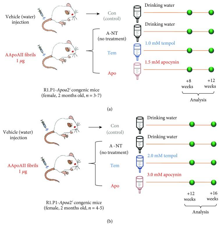 https://cdn.ncbi.nlm.nih.gov/pmc/blobs/e672/6589291/9d29f704551f/OMCL2019-1263274.001.jpg