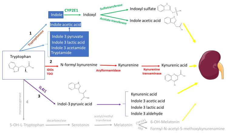 https://cdn.ncbi.nlm.nih.gov/pmc/blobs/e672/8953523/192b2a432969/toxins-14-00221-g001.jpg